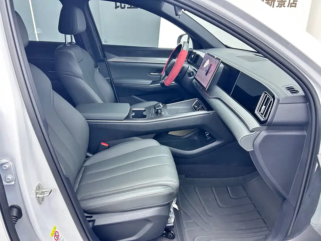 BYD Pro New Energy — миниатюра 8