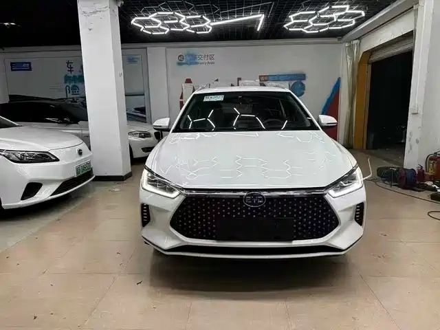2020 BYD e2
