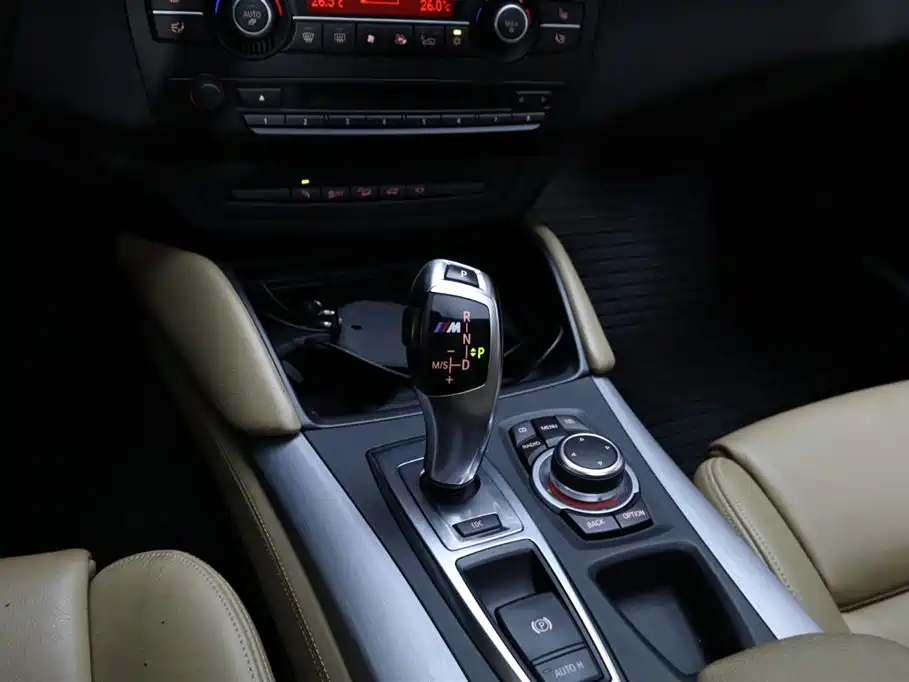 BMW X5 M 2010 X5 M