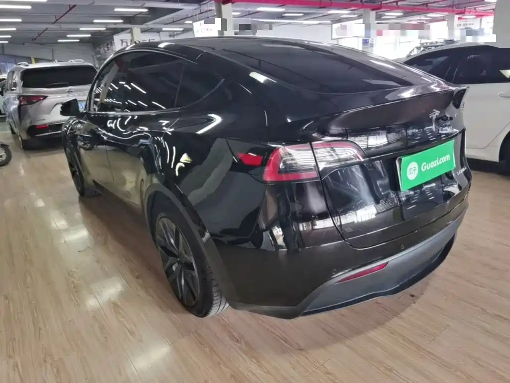 Tesla Model Y — миниатюра 5
