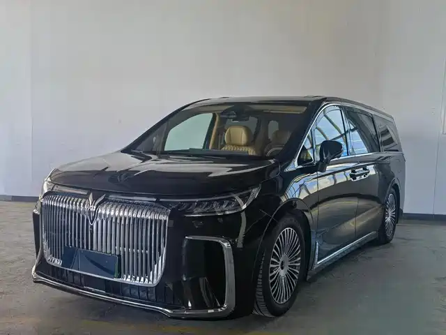 2024 Voyah Dream