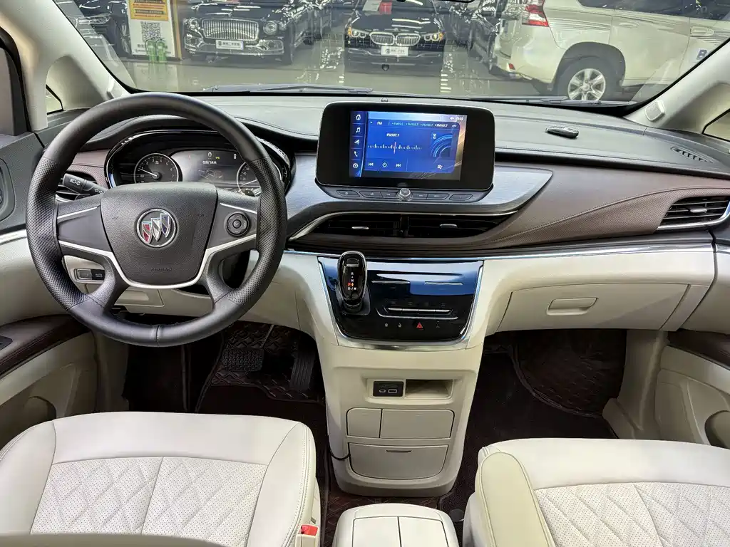 Buick GL8 — миниатюра 8