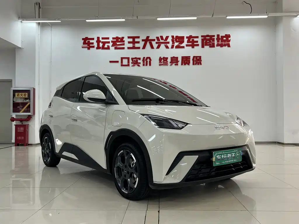 BYD Seagull — миниатюра 3