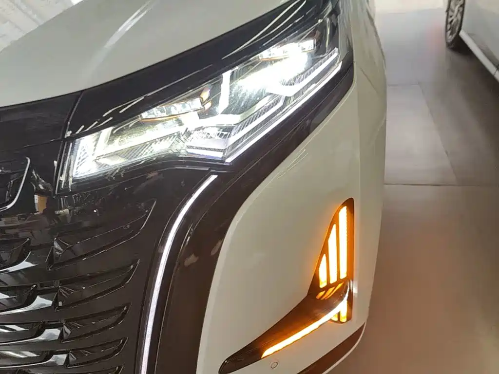Denza Denza D9 — миниатюра 24