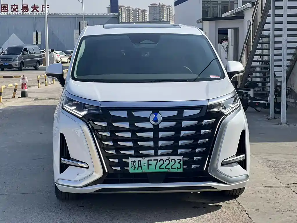 Denza Denza D9 — миниатюра 2