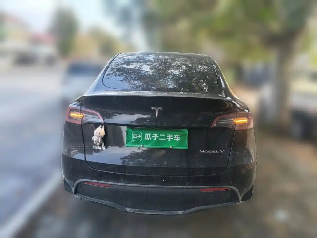 Tesla Model Y — миниатюра 5