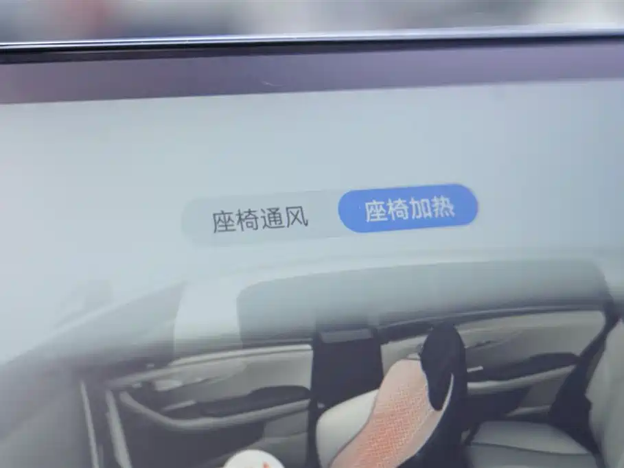 BYD SONGJIANG NEW ENERGY