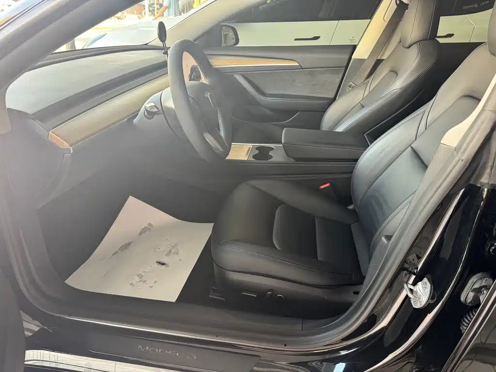 Tesla Model 3 — миниатюра 7