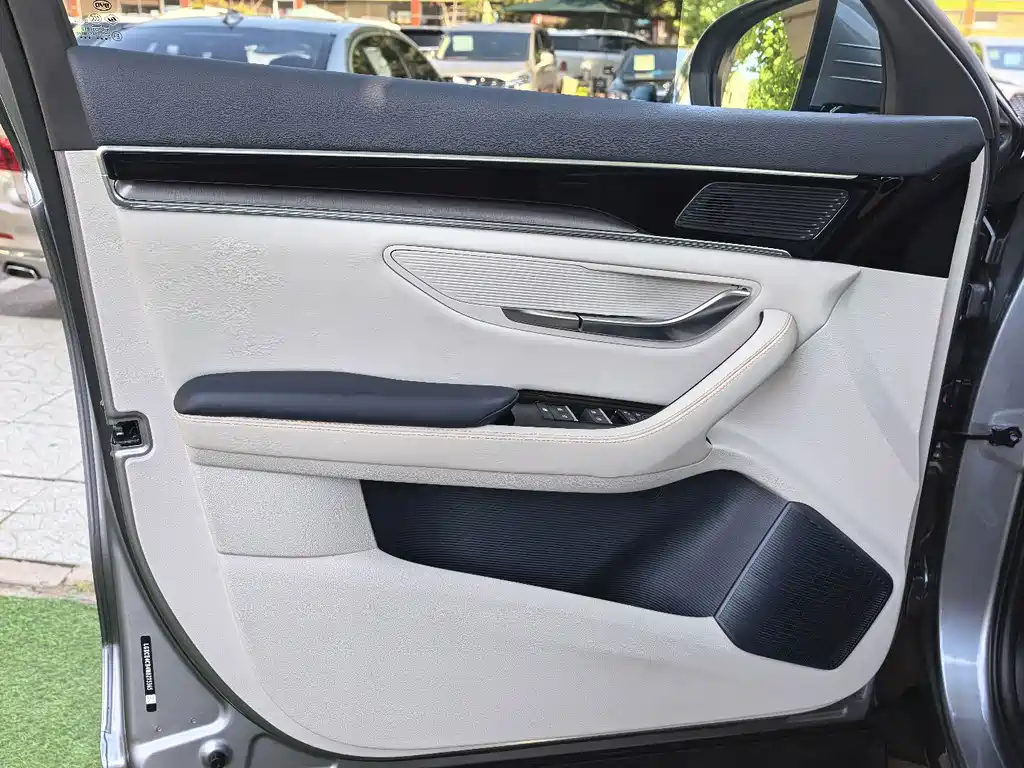 BYD PLUS New Energy — миниатюра 13