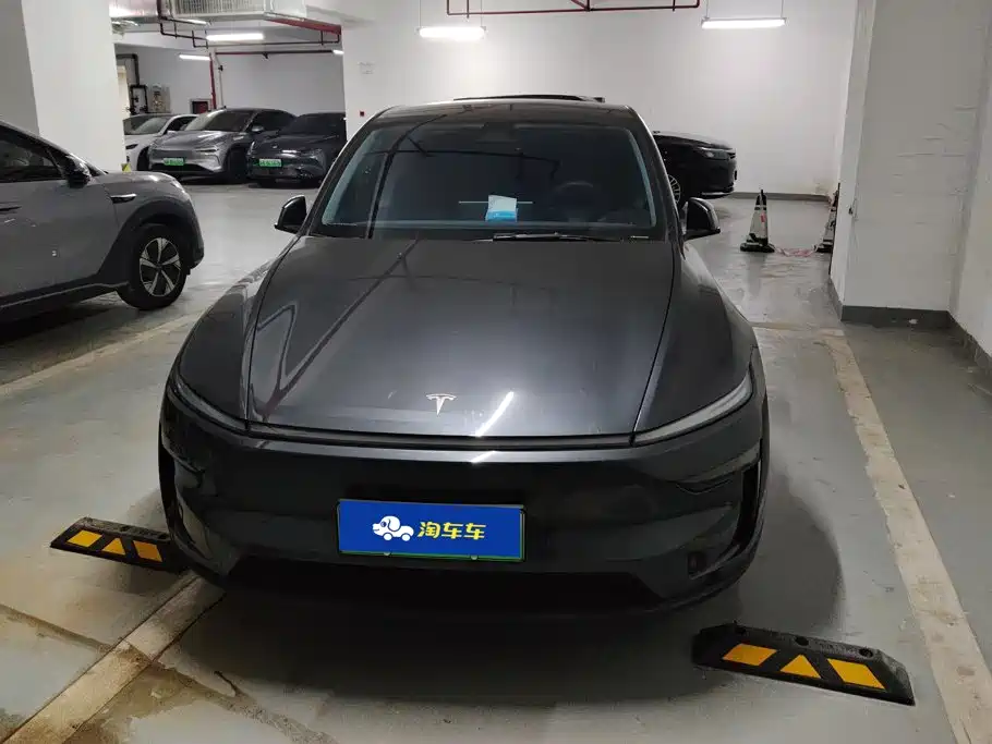 Tesla Model Y — миниатюра 2
