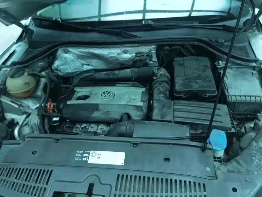 Volkswagen Tiguan 2010 2.0TSI AT Flagship