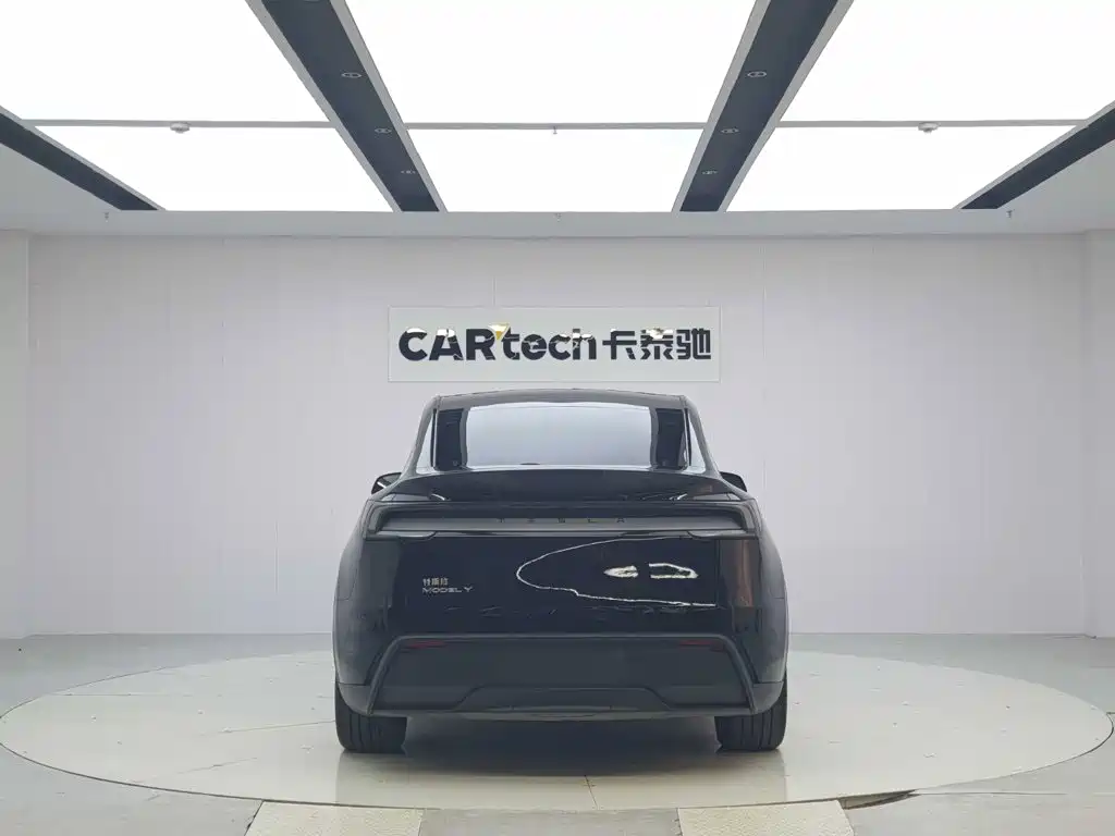 Tesla Model Y — миниатюра 4