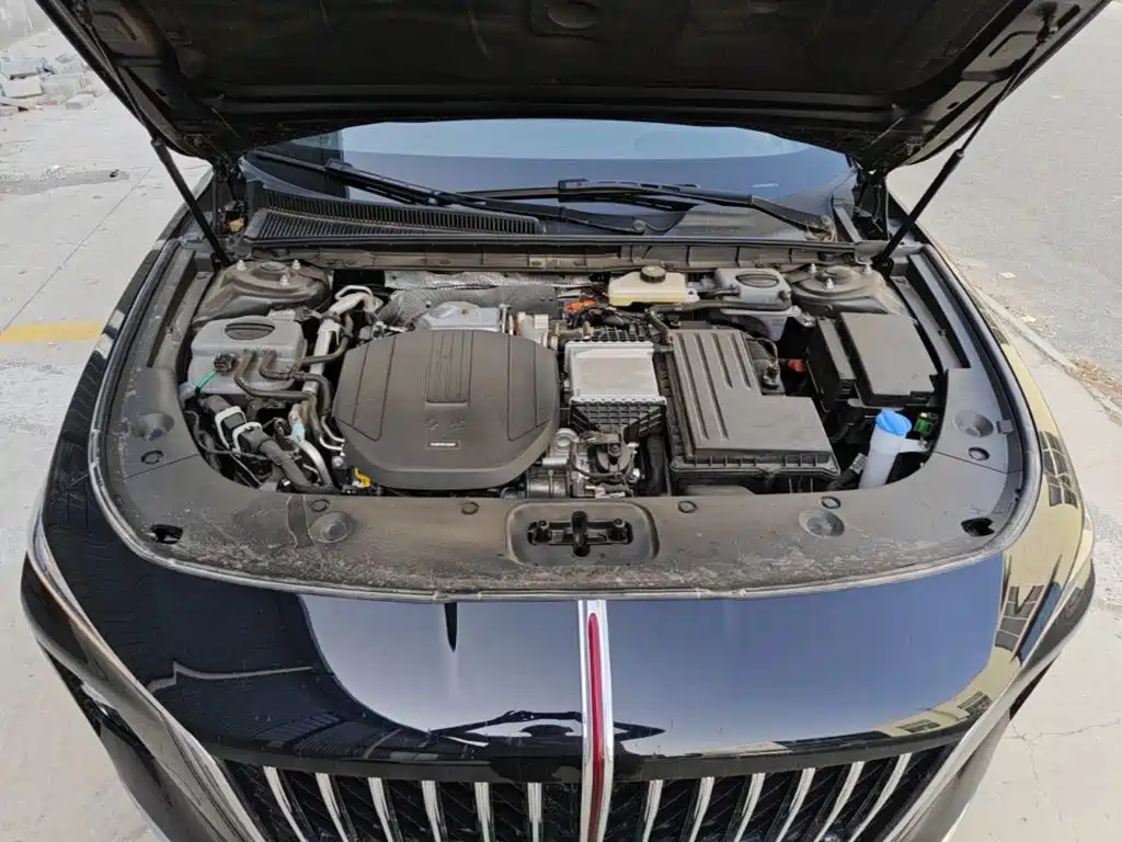 Hongqi Hongqi H5 PHEV — миниатюра 16