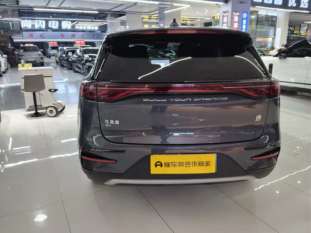 BYD Tang New Energy — миниатюра 21