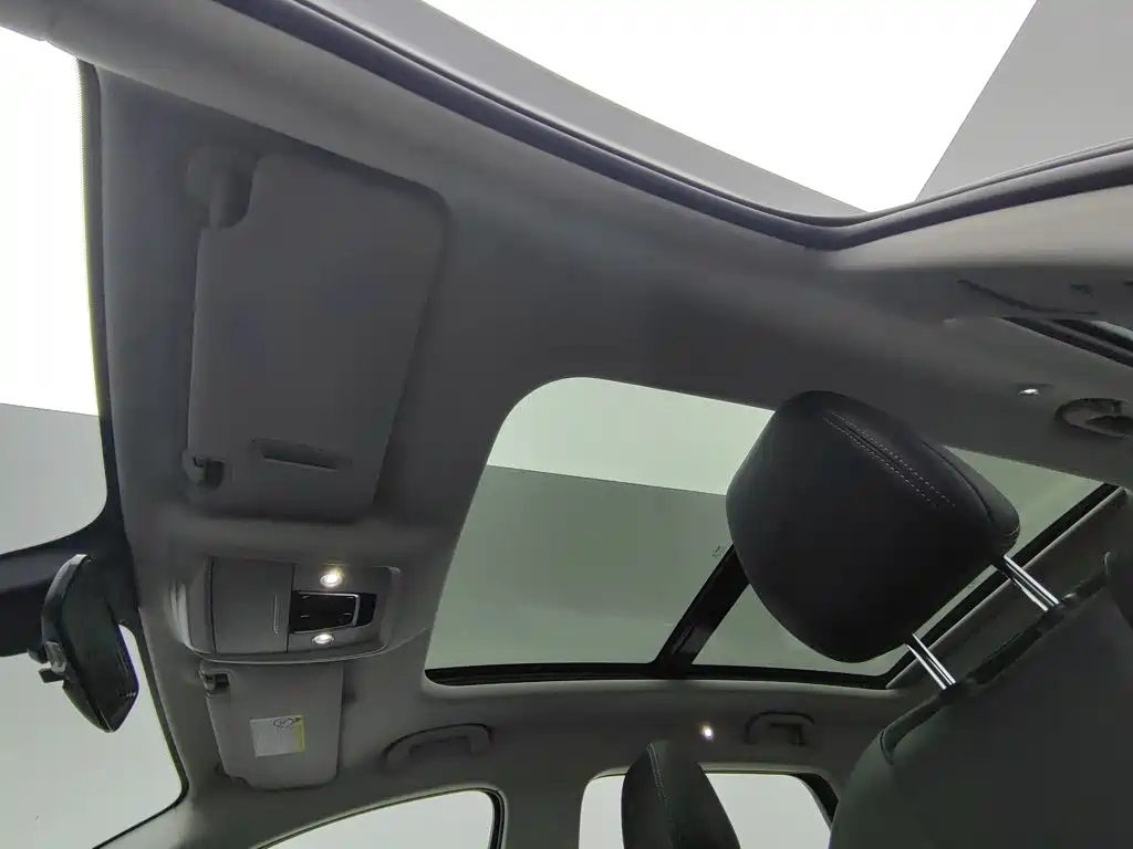 BYD Pro — миниатюра 14