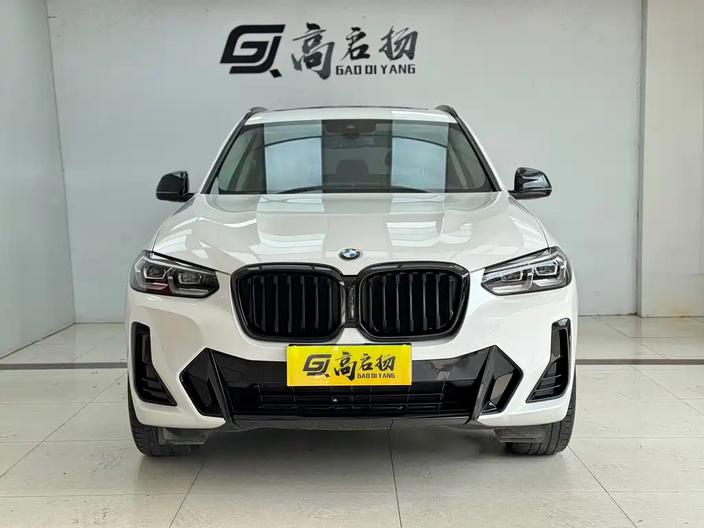 BMW X3 — миниатюра 2