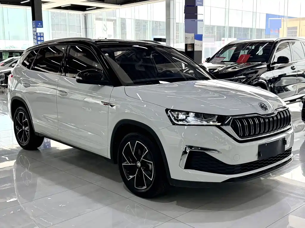 Skoda Kamiq — миниатюра 3