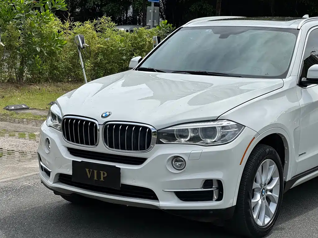 BMW X5 (Import) — миниатюра 4