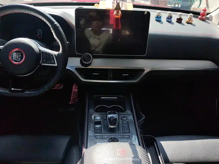 BYD Tang New Energy — миниатюра 16