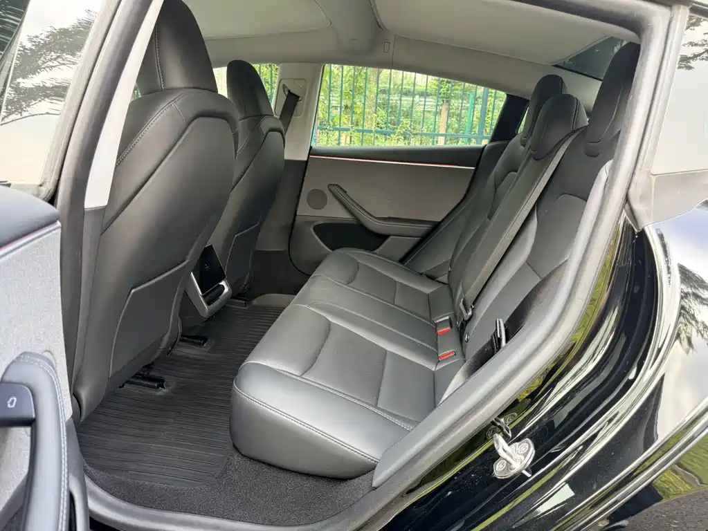 Tesla Model 3 — миниатюра 13