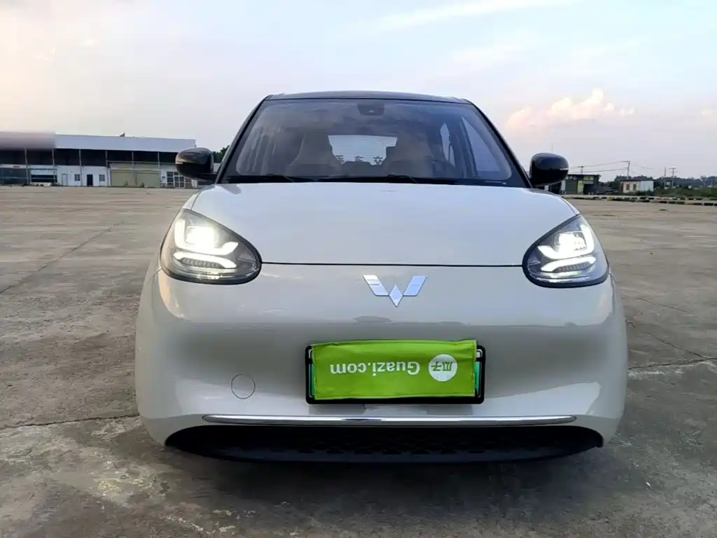Wuling Binguo 2023 333km +