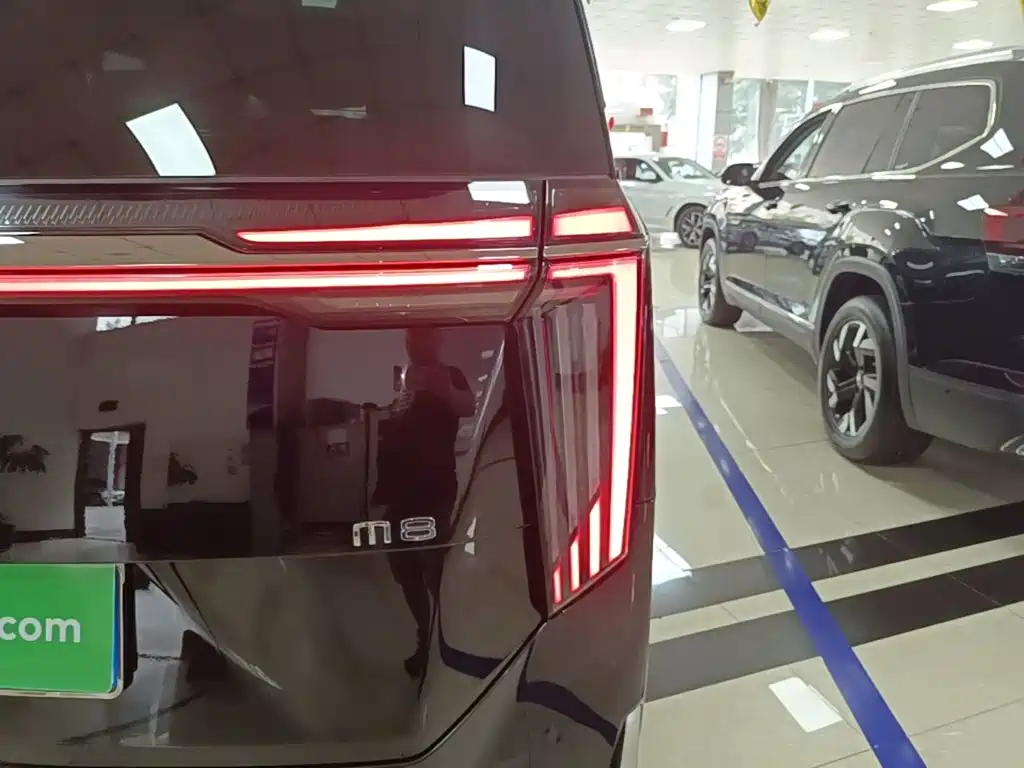 GAC Motor Trumpchi M8 — миниатюра 8