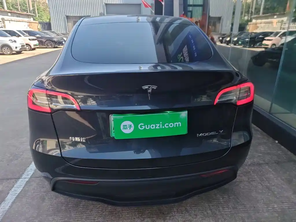 Tesla Model Y — миниатюра 6