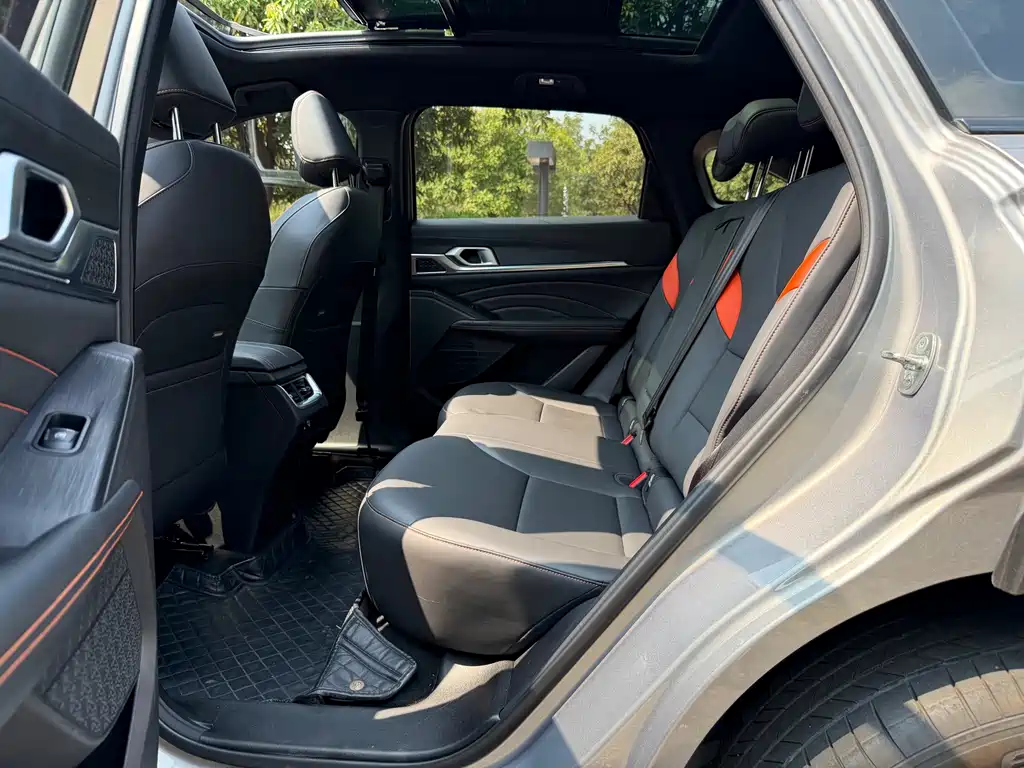 Haval Shenshou — миниатюра 14