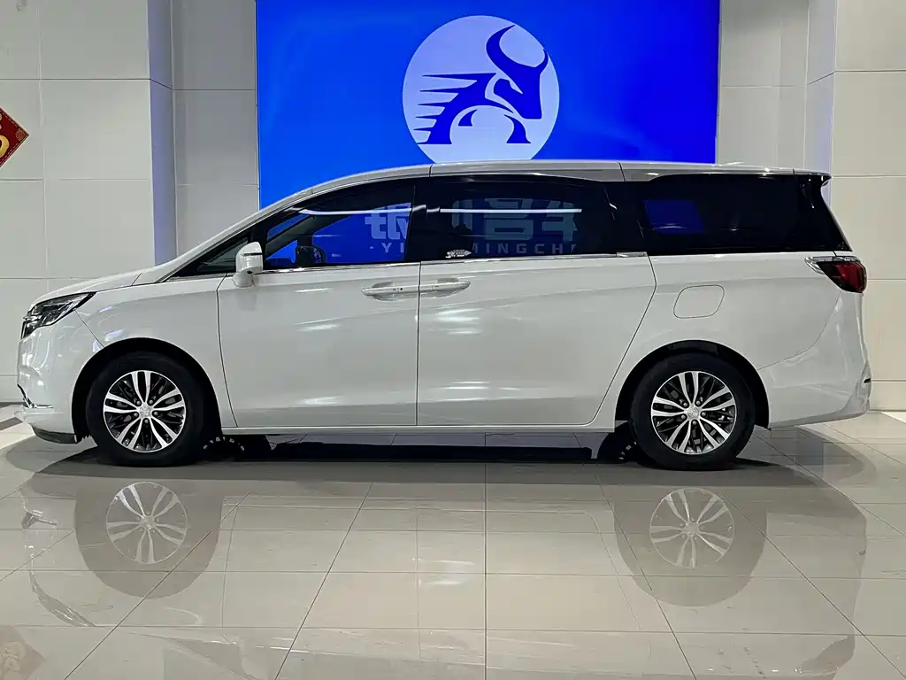 Buick GL8 — миниатюра 4