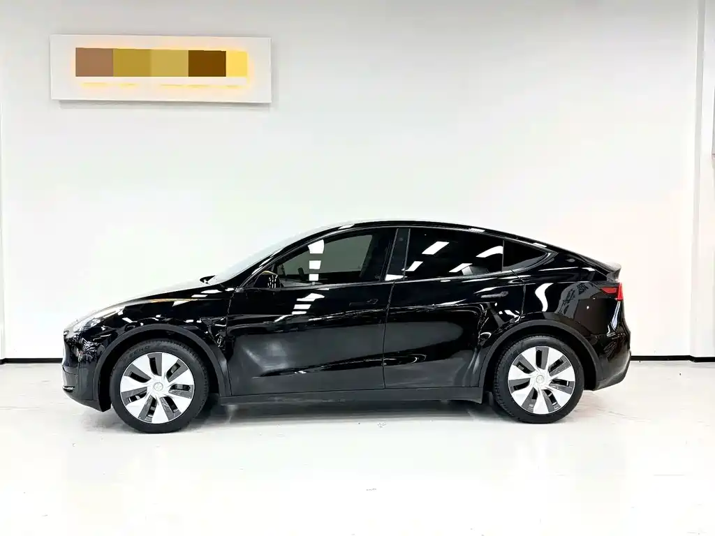 Tesla Model Y — миниатюра 12