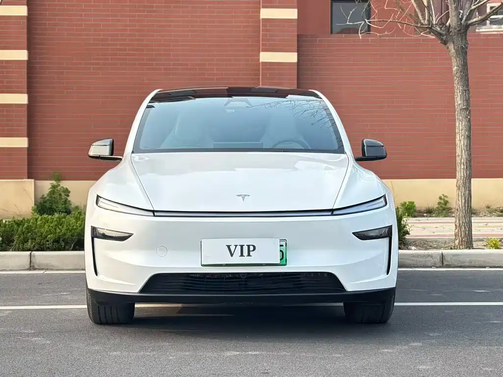 Tesla Model Y L