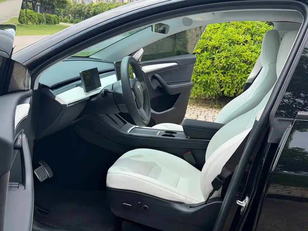 Tesla Model Y — миниатюра 15