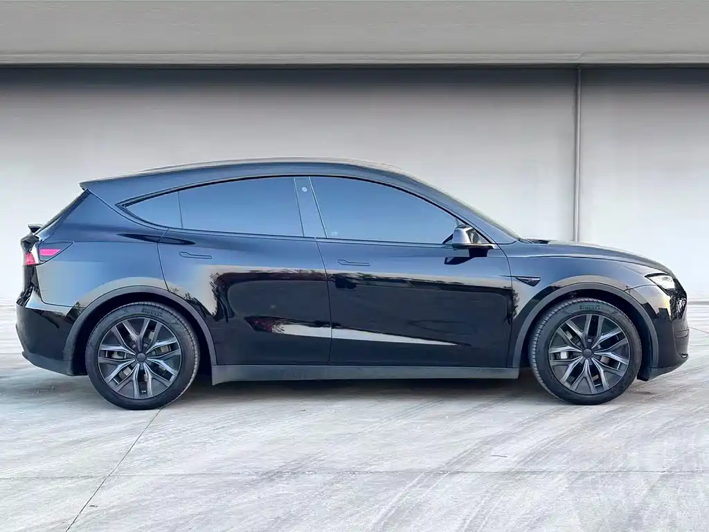 Tesla Model Y — миниатюра 6