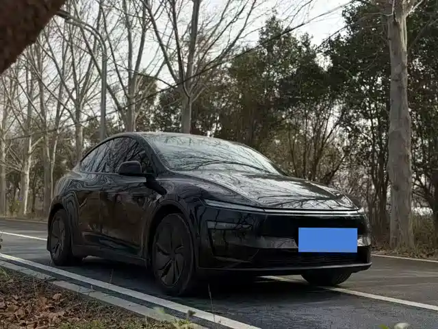 TESLA MODEL Y 2025