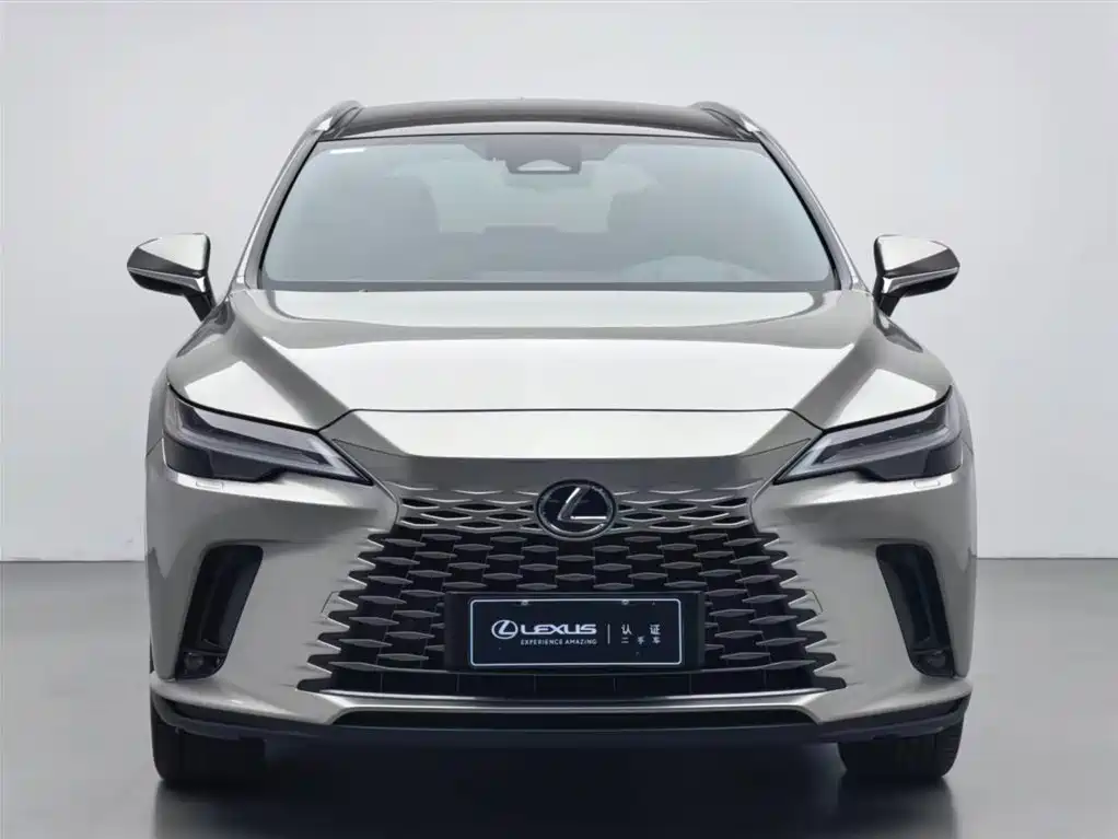 LEXUS RX NEW ENERGY