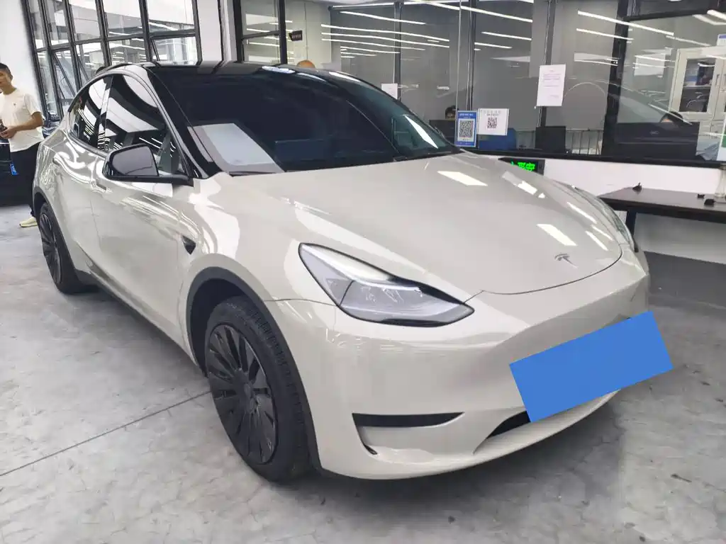 Tesla Model Y — миниатюра 3