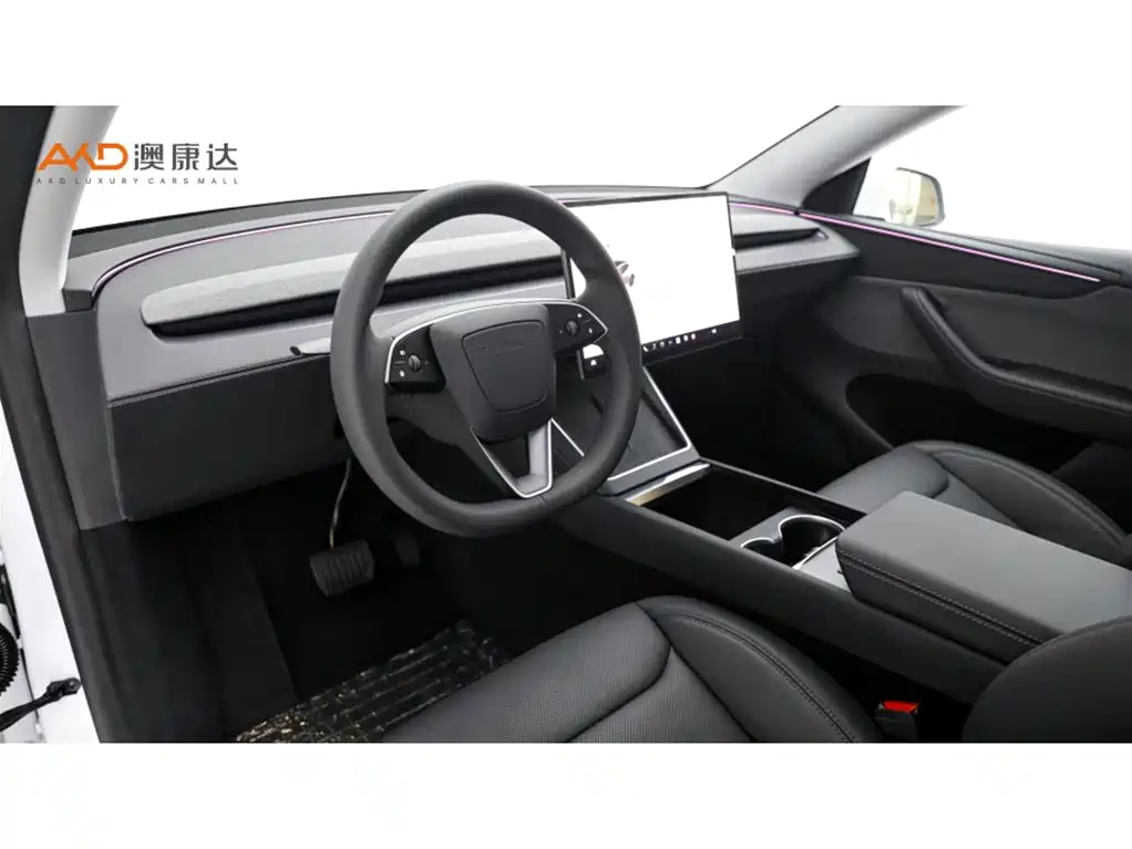 Tesla Model Y — миниатюра 6