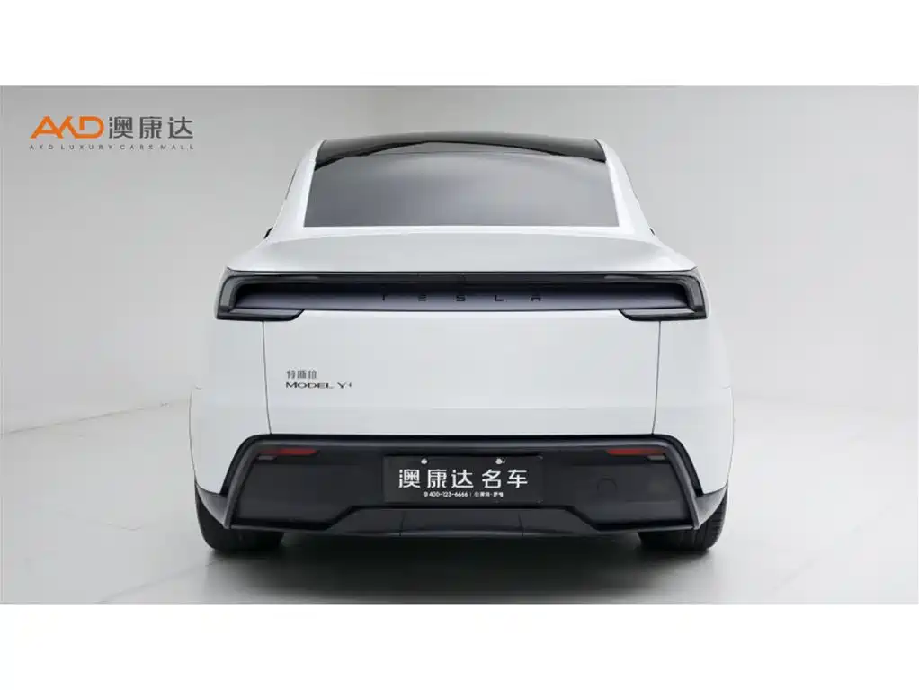 Tesla Model Y — миниатюра 4