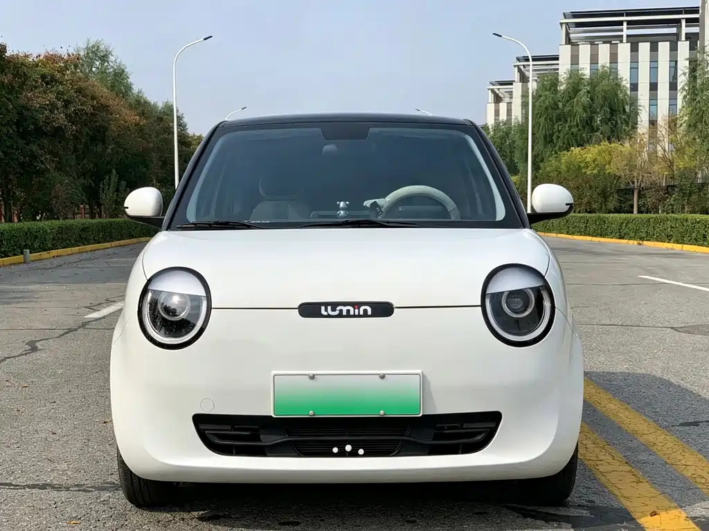 Qiyuan Lumin — миниатюра 2
