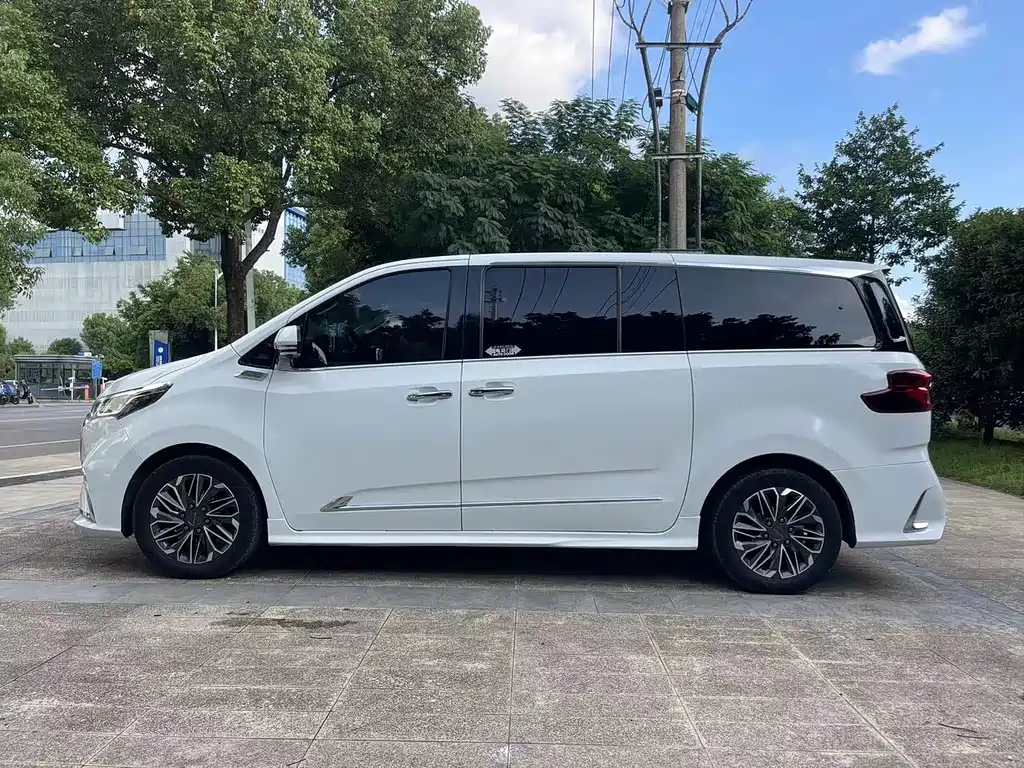 SAIC MAXUS CHASE G20