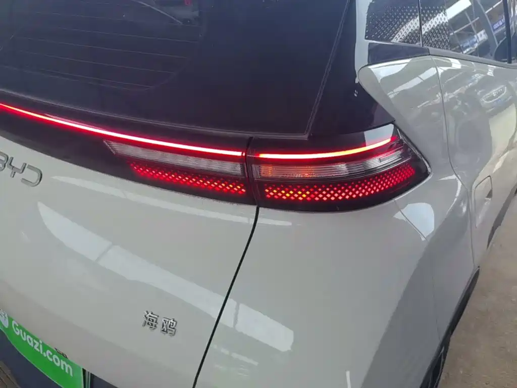 BYD Seagull 2025 305km Freedom