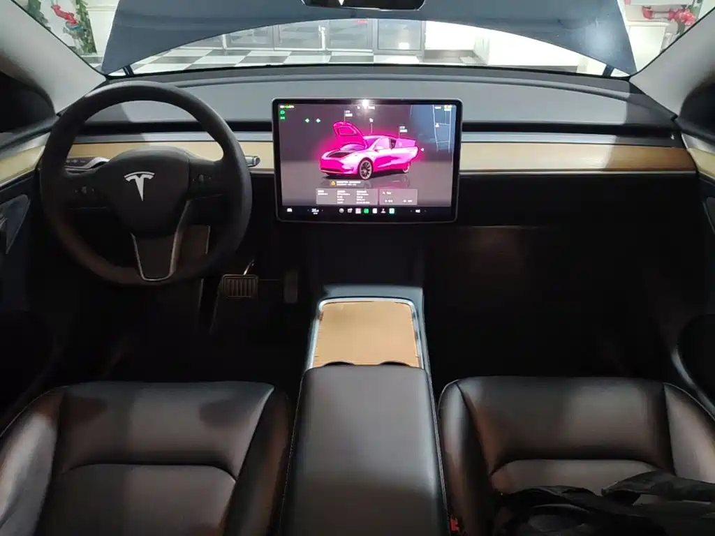 Tesla Model Y — миниатюра 10