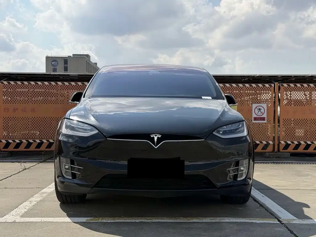 Tesla Model X — миниатюра 2