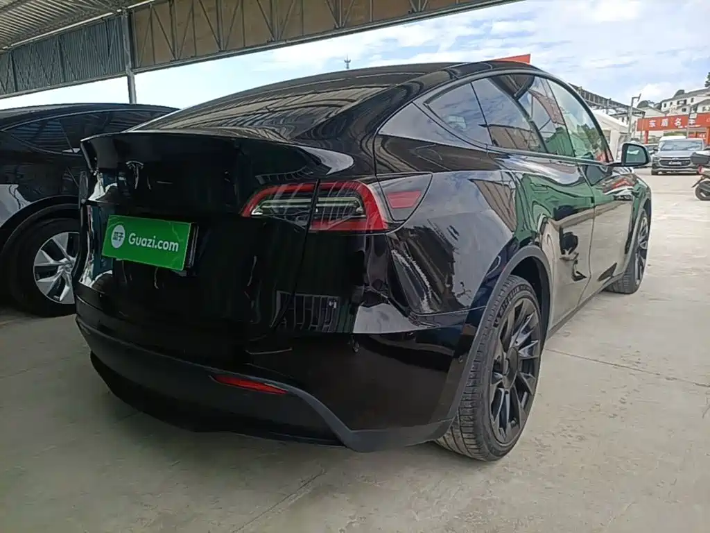 Tesla Model Y — миниатюра 7