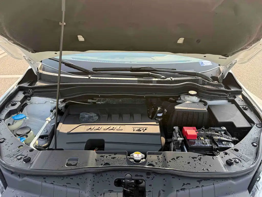 Haval H6 — миниатюра 17