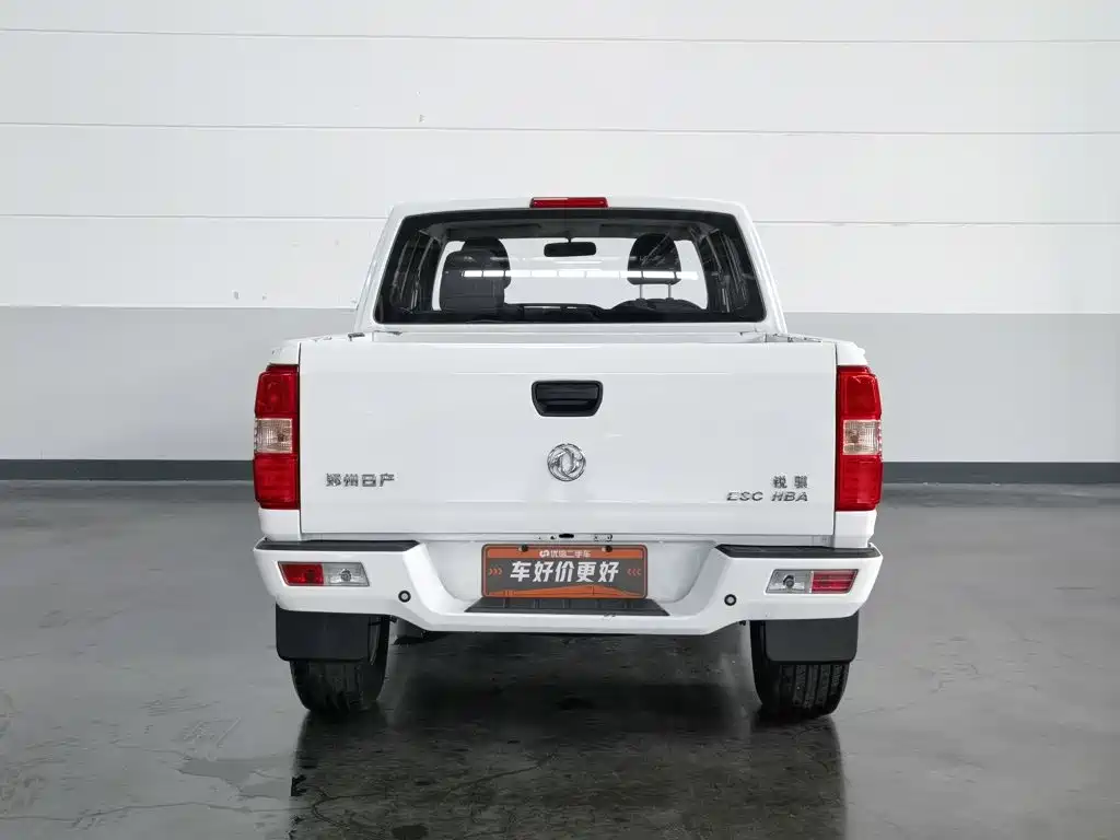 Dongfeng Rich — миниатюра 4