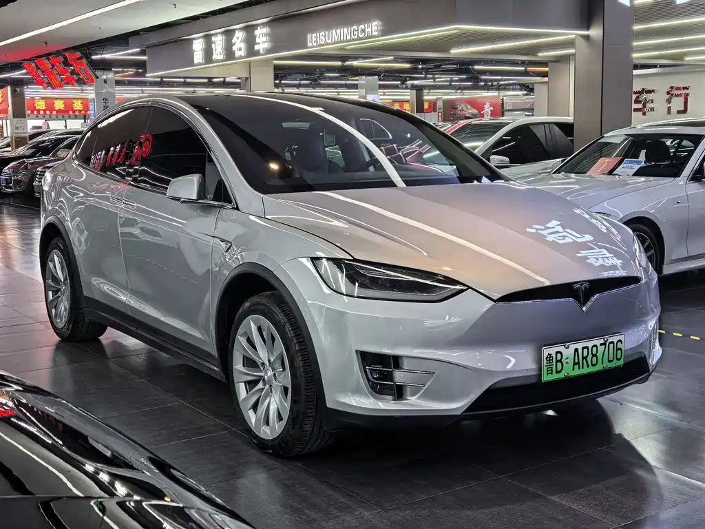 Tesla Model X — миниатюра 3