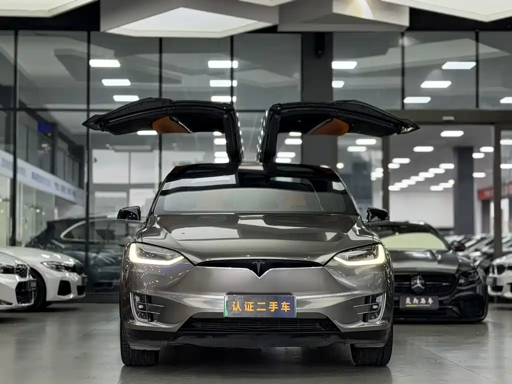 TESLA MODEL X