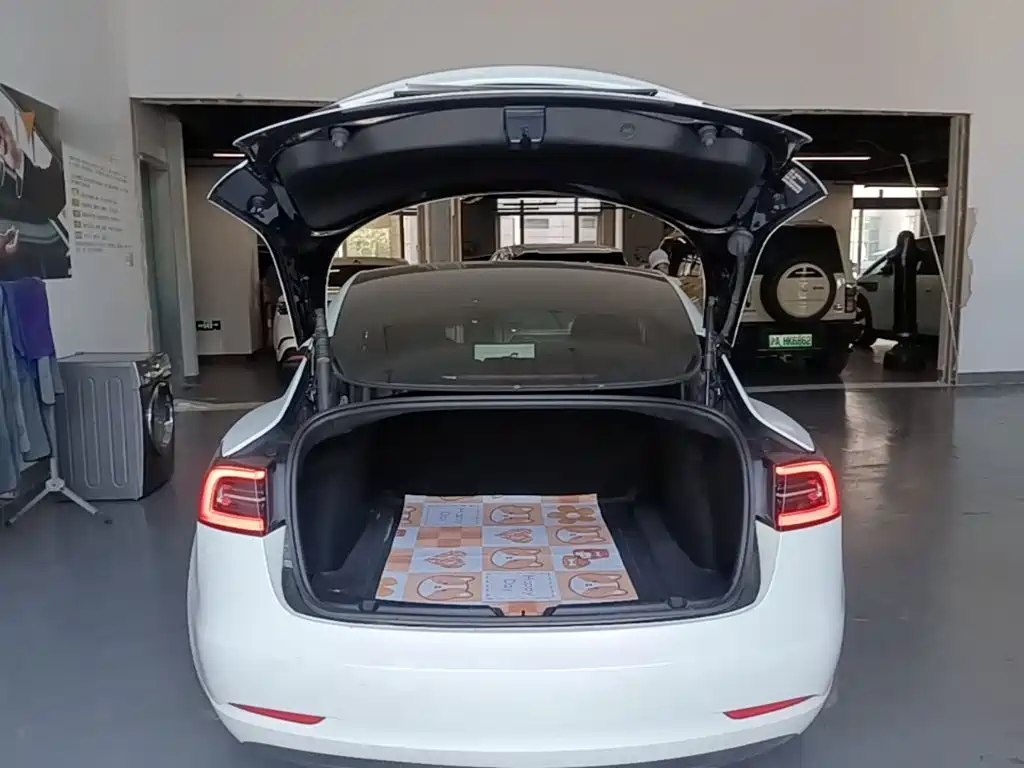 Tesla Model 3 — миниатюра 19