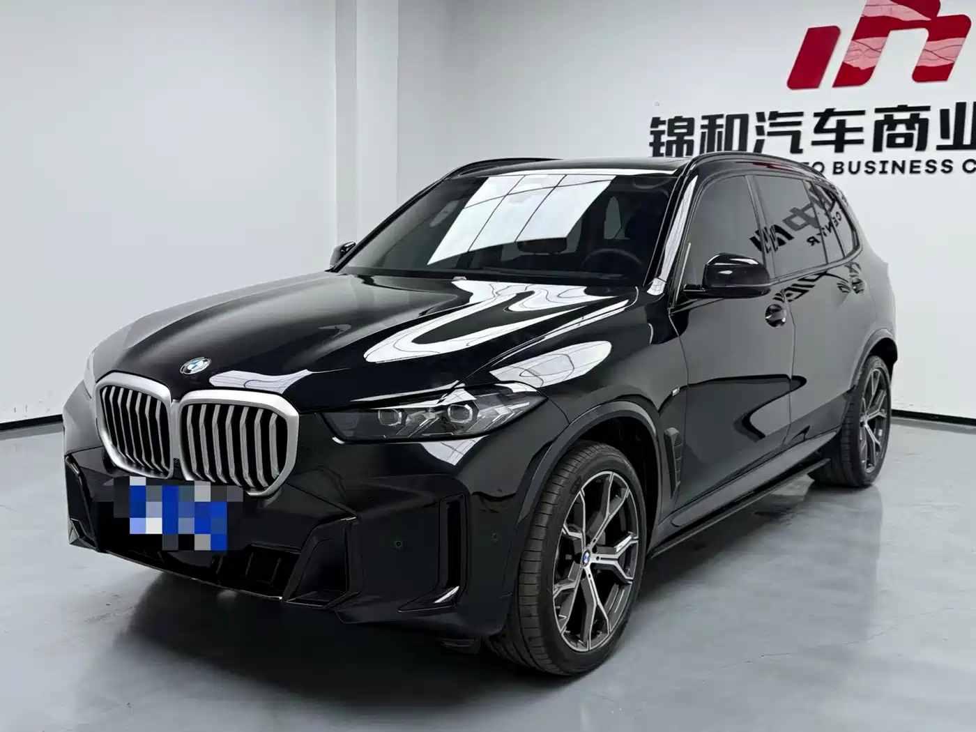 宝马X5 2023款 xDrive 30Li 尊享型M运动曜夜套装 2024